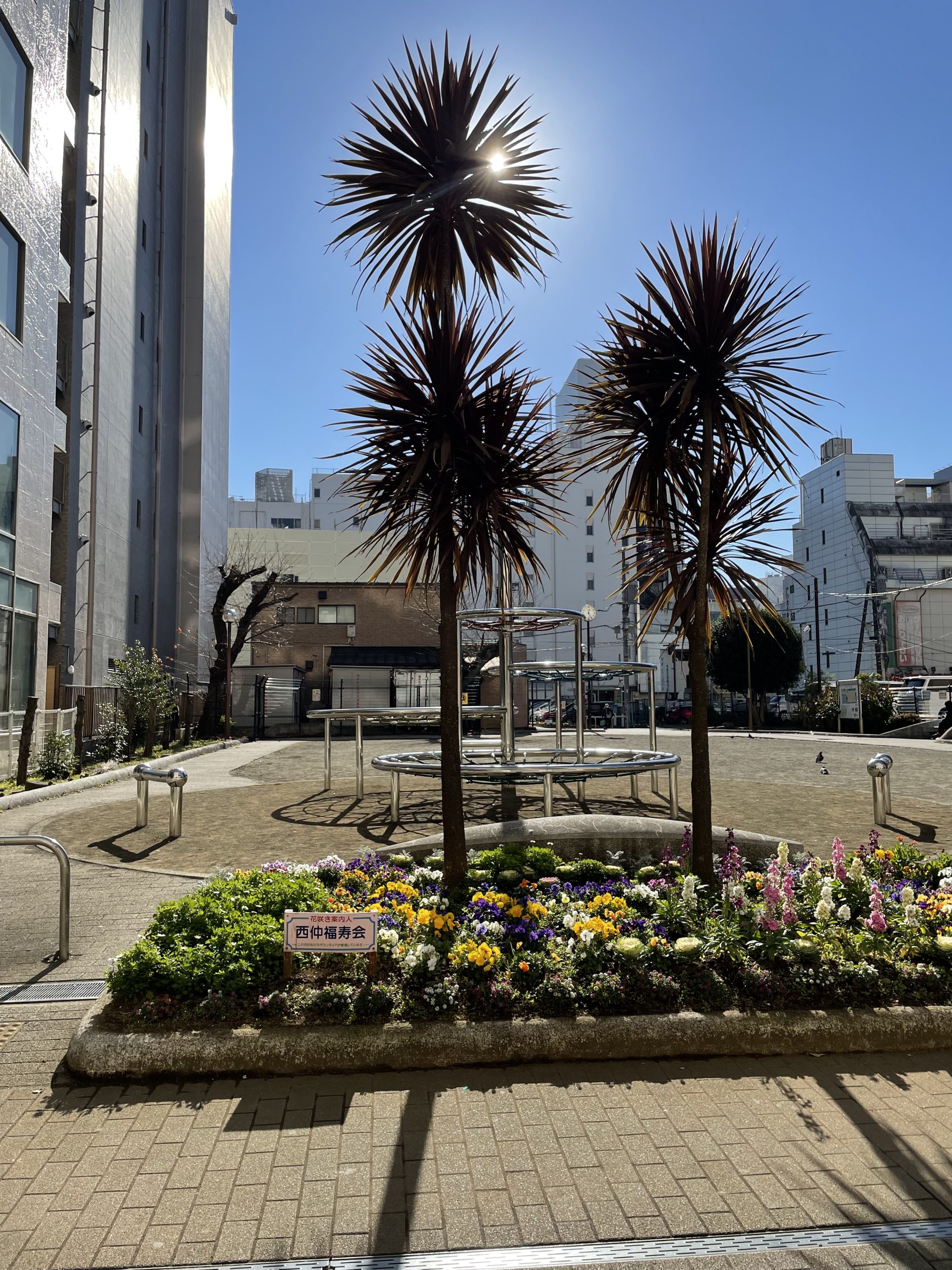 中町公園はいつも花壇が綺麗に手入れされています。街中の癒しです。 スマ報